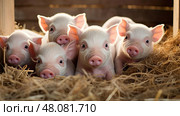 trough pigpen pig farm ai generated. Стоковое AI-изображение, AI-художник Vectorwin / Фотобанк Лори