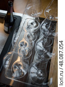 Clean wine glasses are on the table of a special wine cabinet, stylish table setting, ice, bottle of sparkling wine, light from window, decoder and degasser. Стоковое фото, фотограф Vladimir Drozdin / Фотобанк Лори