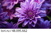 orchid purple flower ai generated. Стоковое AI-изображение, AI-художник Vectorwin / Фотобанк Лори