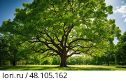 nutrients tree health ai generated. Стоковое AI-изображение, AI-художник Vectorwin / Фотобанк Лори
