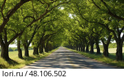 trees osage orange ai generated. Стоковое AI-изображение, AI-художник Vectorwin / Фотобанк Лори