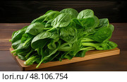 arugula green vegetable ai generated. Стоковое AI-изображение, AI-художник Vectorwin / Фотобанк Лори