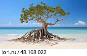 tropical hala tree ai generated. Стоковое AI-изображение, AI-художник Vectorwin / Фотобанк Лори