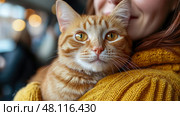 A person cuddles a ginger cat while sitting in a warm, inviting environment filled with soft lighting, creating a sense of comfort and joy. Стоковое AI-изображение, AI-художник Данила Большаков / Фотобанк Лори