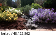 dry nitrogen in soil ai generated. Стоковое AI-изображение, AI-художник Vectorwin / Фотобанк Лори