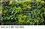 sensors garden technology ai generated. Стоковое AI-изображение, AI-художник Vectorwin / Фотобанк Лори