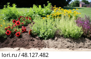 bed nitrogen in soil ai generated. Стоковое AI-изображение, AI-художник Vectorwin / Фотобанк Лори