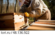 board beekeeping equipment ai generated. Стоковое AI-изображение, AI-художник Vectorwin / Фотобанк Лори