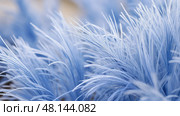 plant blue fescue ai generated. Стоковое AI-изображение, AI-художник Vectorwin / Фотобанк Лори