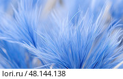 color blue fescue ai generated. Стоковое AI-изображение, AI-художник Vectorwin / Фотобанк Лори