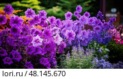 pansy purple flower border ai generated. Стоковое AI-изображение, AI-художник Vectorwin / Фотобанк Лори