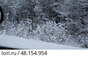 Snow-covered trees floating past a train or car window. Suitable for articles about winter travel, advertising of railway or bus tours related to nature. Winter travel. Snow-white landscape. Стоковое видео, видеограф Евгений Демидюк / Фотобанк Лори