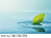 Зеленый лист на водной глади с кругами от капли. Стоковое AI-изображение, AI-художник Александр Жуков / Фотобанк Лори
