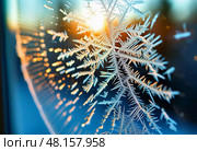 Intricate frost patterns spread across a windowpane, capturing the essence of a chilly winter evening while soft sunlight enhances the delicate details of each snowflake Generative AI. Стоковое AI-изображение, AI-художник Юлия Петровская / Фотобанк Лори