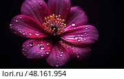 spotlight photo lighting ai generated. Стоковое AI-изображение, AI-художник Vectorwin / Фотобанк Лори