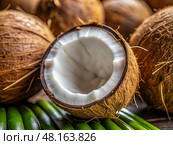 A collection of fresh coconuts rests amidst lush green leaves, highlighting their rough exteriors and creamy insides. This tropical display invites exploration and indulgence. Стоковое AI-изображение, AI-художник Ольга Игнашина / Фотобанк Лори