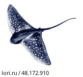 stingray fish blue with spots. Hand drawn with watercolor with texture. for fish restaurant design, menu, diving center. Стоковая иллюстрация, иллюстратор Екатерина Тимонова / Фотобанк Лори
