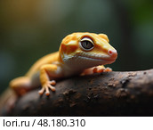 Leopard gecko lizard, macro on nature background. Yellow Gecko. Eublepharis maculariu. Стоковое AI-изображение, AI-художник Евгений Ткачёв / Фотобанк Лори