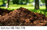 tree brown mulch ai generated. Стоковое AI-изображение, AI-художник Vectorwin / Фотобанк Лори