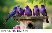 feathers purple martins ai generated. Стоковое AI-изображение, AI-художник Vectorwin / Фотобанк Лори