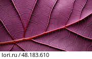 intricate ipomoea sweet potato ai generated. Стоковое AI-изображение, AI-художник Vectorwin / Фотобанк Лори