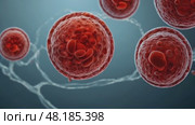 Red blood cells flowing through vein. Стоковое AI-видео, аниматор Андрей Митин / Фотобанк Лори