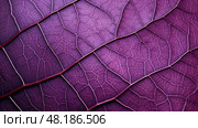 leaf ipomoea sweet potato ai generated. Стоковое AI-изображение, AI-художник Vectorwin / Фотобанк Лори