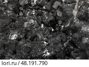 Black crystals of sphalerite with fluorite. Detailed macro photograph. Стоковое фото, фотограф EugeneSergeev / Фотобанк Лори