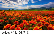 field safflower oil ai generated. Стоковое AI-изображение, AI-художник Vectorwin / Фотобанк Лори