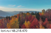 Flying over autumn forest in mountain. Стоковое видео, видеограф Михаил Коханчиков / Фотобанк Лори