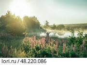 Встреча рассвета на озере. Стоковое фото, фотограф Надежда Парижская / Фотобанк Лори