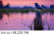 marsh purple martins ai generated. Стоковое AI-изображение, AI-художник Vectorwin / Фотобанк Лори