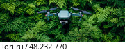 A drone hovers effortlessly above verdant ferns in a dense forest, showcasing the beauty of nature on a bright sunny day. Стоковое AI-изображение, AI-художник Данила Большаков / Фотобанк Лори