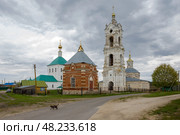 Храмовый комплекс в селе Погост, Рязанская область. Редакционное фото, фотограф Ирина Яровая / Фотобанк Лори