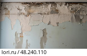 infiltration property water damage ai generated. Стоковое AI-изображение, AI-художник Vectorwin / Фотобанк Лори