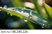xylem plant stem ai generated. Стоковое AI-изображение, AI-художник Vectorwin / Фотобанк Лори