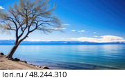 branches south lake tahoe trees ai generated. Стоковое AI-изображение, AI-художник Vectorwin / Фотобанк Лори