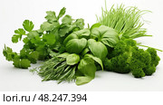 parsley ingredients on white ai generated. Стоковое AI-изображение, AI-художник Vectorwin / Фотобанк Лори