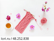 Summer craft and needlework. Accessories for hand knitting, cup of green tea, pink cosmos flowers and hand knitted soft pink scarf with unusual braid pattern on white table. Flat lay, copy space, close-up. Стоковое фото, фотограф Виктория Катьянова / Фотобанк Лори