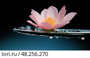 adhesion water cohesion ai generated. Стоковое AI-изображение, AI-художник Vectorwin / Фотобанк Лори