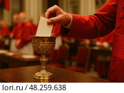 Cardinal hand casting ballot in papal conclave election ceremony. Стоковое AI-изображение, AI-художник Башкирова Анна / Фотобанк Лори