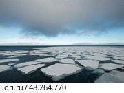 Sea ice in the Barents Sea near Franz Josef Land in summer. Стоковое фото, фотограф Vladimir / Фотобанк Лори