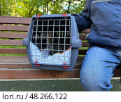 An elderly man holds a cat in a carrier. Pet transportation, traveling with a pet. A close friend of an elderly man. Стоковое фото, фотограф Терехова Марина / Фотобанк Лори
