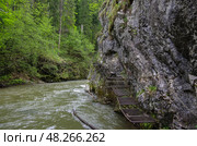 Экотропа через водопад (по Via Ferrata), национальный парк Словацкий рай,Словакия. Стоковое фото, фотограф Дымов Игорь / Фотобанк Лори