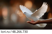 White Dove Gracefully Released From Hand During Sunset at Outdoor Location. Стоковое AI-изображение, AI-художник Юлия Гапеенко / Фотобанк Лори