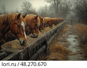A group of horses are eating hay from a trough. Стоковое AI-изображение, AI-художник Ярославский Максим / Фотобанк Лори