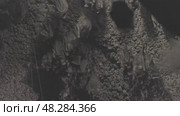 Bats hanging in cave. Стоковое видео, видеограф Михаил Коханчиков / Фотобанк Лори