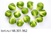 organic brussel sprouts isolated. Стоковое AI-изображение, AI-художник Vectorwin / Фотобанк Лори
