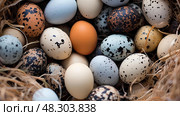 incubation animal eggs production. Стоковое AI-изображение, AI-художник Vectorwin / Фотобанк Лори
