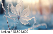 delicate frozen plant. Стоковое AI-изображение, AI-художник Vectorwin / Фотобанк Лори